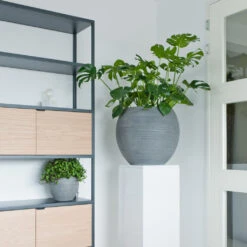 Abby Ball Plant Pot - Ridged Dark Grey -HousePlants Shop AbbyBallPlantPot RidgedDarkGrey