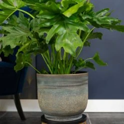 Aico Plant Pot - Shiny Blue 22 Aico Plant Pot - Shiny Blue -HousePlants Shop Aico shiny blue 02