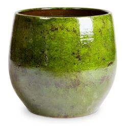 Aimee Plant Pot - Pear -HousePlants Shop Aimee Plant Pot Pear 38x34cm