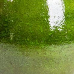 Aimee Plant Pot - Pear -HousePlants Shop Aimee Plant Pot Pear SWATCH2