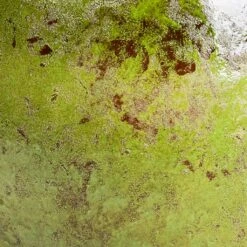 Aimee Plant Pot - Pear -HousePlants Shop Aimee Plant Pot Pear SWATCH3