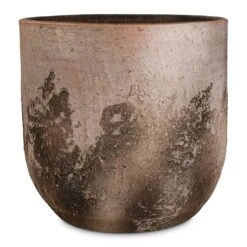 Albero Plant Pot - Cement -HousePlants Shop Albero Plant Pot Cement 28x26cm 28706681 8e92 439f a7a0 1542d380a061