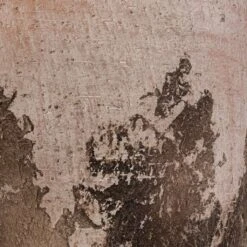 Albero Plant Pot - Cement -HousePlants Shop Albero Plant Pot Cement DETAIL d465160c 8621 4f6c 825c 263e6430a47d