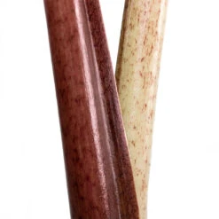 Alocasia Yucatan Princess - Elephant Ear -HousePlants Shop Alocasia Yucatan Princess Elephant Ear Close Up 002