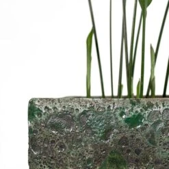 Lava Cube Relic Planter - Jade -HousePlants Shop Aspidistra Cast Iron Plant Lava Cube Relic Planter Jade Close Up