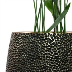 Opus Hit Darcy Planter - Gold -HousePlants Shop Aspidistra Cast Iron Plant Opus Hit Darcy Planter Gold Close Up