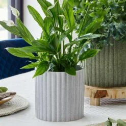 Azalea Ribbed Plant Pot - Speckled Grey Stone 12 Azalea Ribbed Plant Pot - Speckled Grey Stone -HousePlants Shop Azalea Ribbed Plant Pot Speckled Grey Stone 1