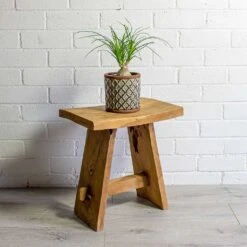 Beaucarnea - Pony Tail Palm - Orb -HousePlants Shop Beaucarnea Pony Tail Palm Orb liam grey plant pot natural 75c4d917 b2bf 49b7 be25 2fc18a3f2ba9