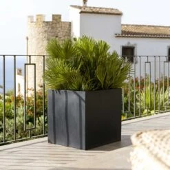 Block Natural Planter - Black -HousePlants Shop Block Natural Planter Black 4