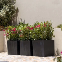 Block Natural Planter - Black -HousePlants Shop BlockNaturalPlanter Black 2