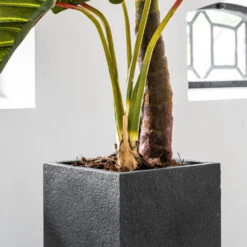 Bouvy Granite Planter - Midnight Black -HousePlants Shop Bouvy Granite Planter Midnight Black Lifestyle 2