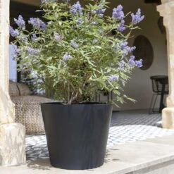 Bucket Natural Planter - Black -HousePlants Shop Bucket Natural Planter Black 2