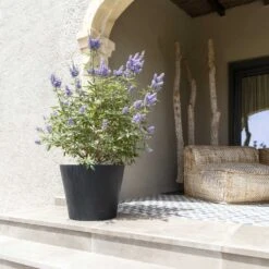 Bucket Natural Planter - Black -HousePlants Shop Bucket Natural Planter Black 3