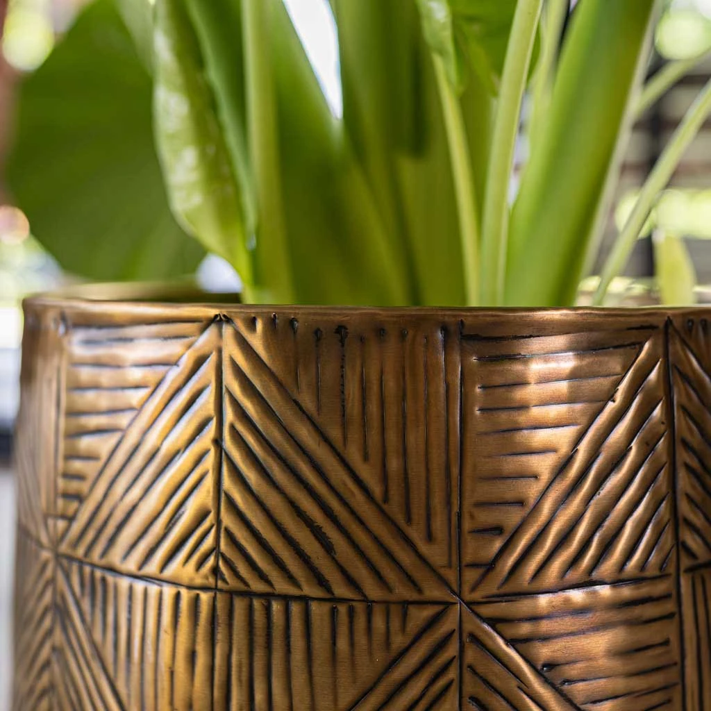 Calvin Metal Plant Pots - Set Of 3 - Matt Gold 4 Calvin Metal Plant Pots - Set Of 3 - Matt Gold - Image 2