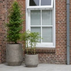 Harith Cement & Stone Plant Pot - Granite Grey -HousePlants Shop Cement Stone Harith Plant Pot lifestyle