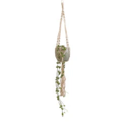 Ceropegia Woodii - String Of Hearts -HousePlants Shop Ceropegia woodii String of Hearts 10x20cm Macrame Hanging Plant Pot 12x10cm 2