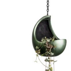 Gradient Hanging Cocoon - Matt Forest -HousePlants Shop Ceropegia woodii String of Hearts 11x20cm Gradient Hanging Cocoon Matt Forest 20x24cm