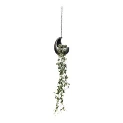 Ceropegia Woodii - String Of Hearts -HousePlants Shop Ceropegia woodii String of Hearts 14x30cm Gradient Hanging Cocoon Matt Grey 20x24cm