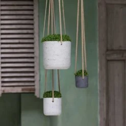 Charlie Hanging Plant Pot - Grey Washed -HousePlants Shop Charlie Hanging Plant Pots Houseplants