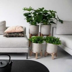 Charlie Plant Pot - Tall Stand - Grey Washed -HousePlants Shop Charlie Plant Pot Tall Stand Grey Washed Lifestyle 02