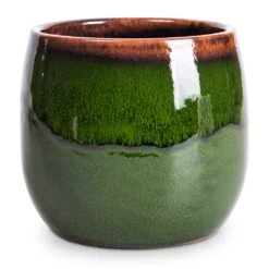 Charlotte Plant Pot - Green -HousePlants Shop Charlotte Plant Pot Green 15x13cm