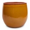 Charlotte Plant Pot - Spiced Ochre -HousePlants Shop Charlotte Plant Pot Ochre 23x20cm