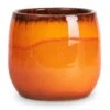 Charlotte Plant Pot - Orange 1 Charlotte Plant Pot - Orange -HousePlants Shop Charlotte Plant Pot Orange 15x13cm