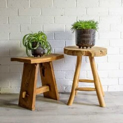 Senecio Himalaya - Himalaya Groundsel -HousePlants Shop Chlorophytum Bonnie Curly Spider Plant Senecio Himalaya Himalaya Groundsel Denise Plant Pot Blue Bronze deff1630 c6f8 4ee2 baf3 32fc8f3696f7