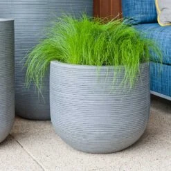 Cody Plant Pot - Ridged Dark Grey -HousePlants Shop Cody Plant Pot Ridged Dark Grey Houseplant