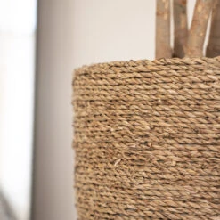 Cody Plant Pot - Straw Grass -HousePlants Shop Cody Plant Pot Straw Grass 3