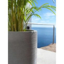 Cody Plant Vase - Ridged Dark Grey -HousePlants Shop Cody Tall Planter Ridged Dark Grey Areca Palm