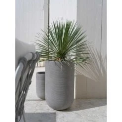 Cody Plant Vase - Ridged Dark Grey -HousePlants Shop Cody Tall Planter Ridged Dark Outdoor Palm