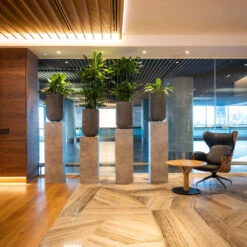 Cody Plant Vase - Ridged Dark Grey -HousePlants Shop CodyPlantVase RidgedDarkGrey 9