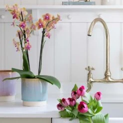 Copenhagen Plant Pot - Aqua -HousePlants Shop Copenhagen Plant Pot Aqua 15.5 x 16cm