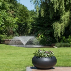 Cora Natural Bowl Planter - Black -HousePlants Shop CoraNaturalBowlPlanter Black 2