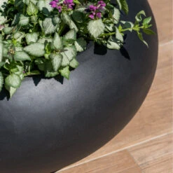 Cora Natural Bowl Planter - Black -HousePlants Shop CoraNaturalBowlPlanter Black 4