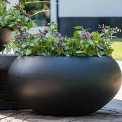 Cora Natural Bowl Planter - Black -HousePlants Shop CoraNaturalBowlPlanter Black 5