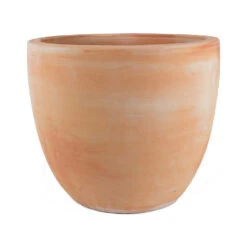 Terracotta Plant Pot -HousePlants Shop Couple extra large