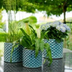 Dion Planters - Set Of 3 - Ocean Blue -HousePlants Shop Dion Planters Set3 Ocean Blue Outdoor Plants
