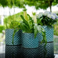 Dion Planters - Set Of 3 - Ocean Blue -HousePlants Shop Dion Planters Set3 Ocean Blue Plants