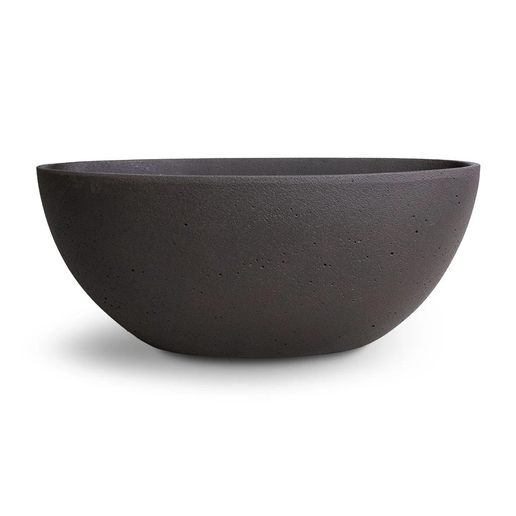Dorant Refined Oval Plant Bowl - Volcano Black 5 Dorant Refined Oval Plant Bowl - Volcano Black - Image 3