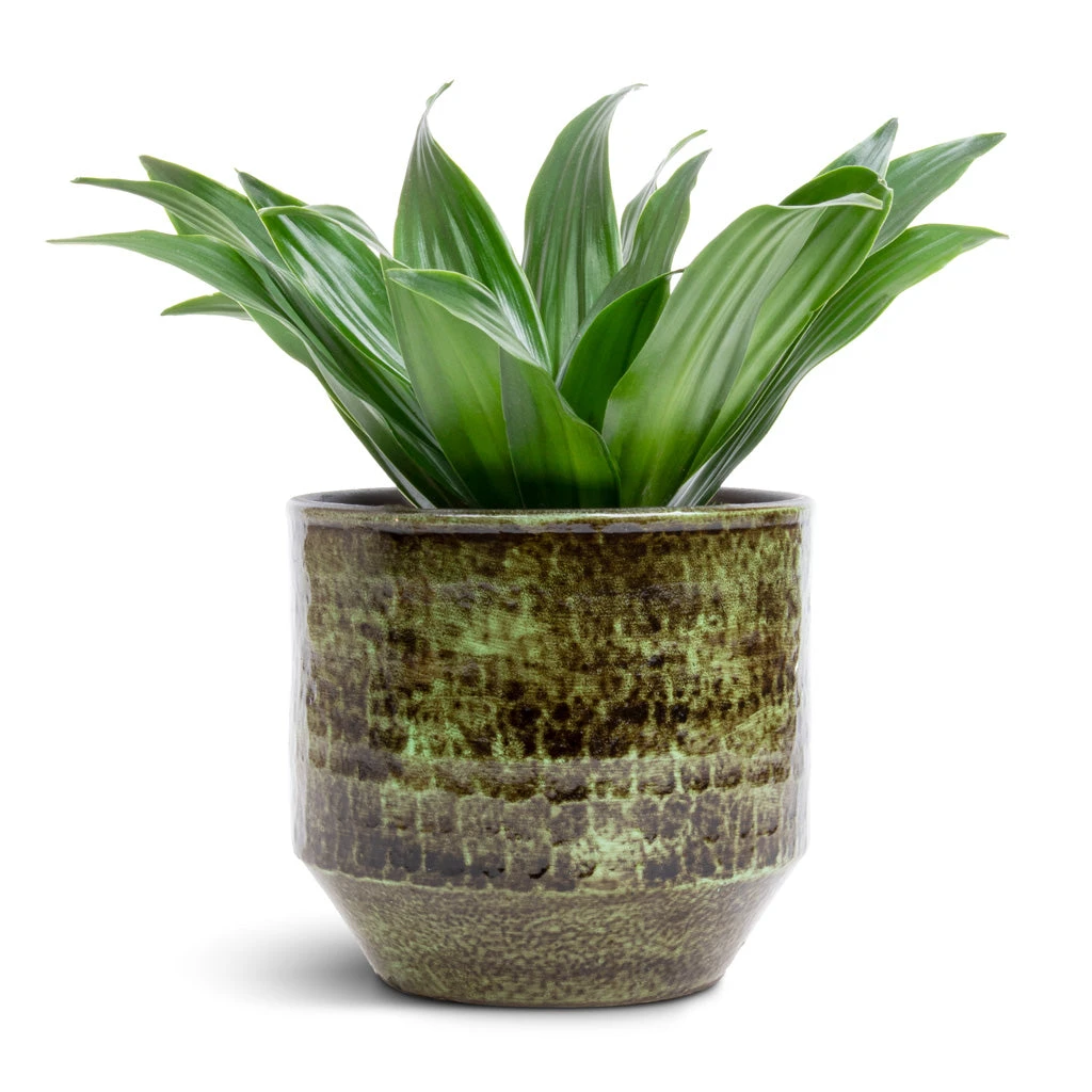 Sanna Plant Pot - Moss Green 8 Sanna Plant Pot - Moss Green - Image 6