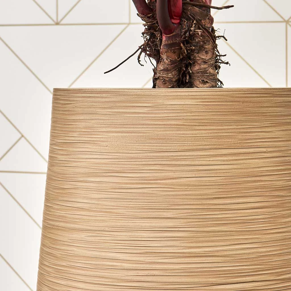 Dune Partner Planter - Almond 13 Dune Partner Planter - Almond - Image 11