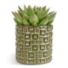 Echeveria Agavoides Miranda -HousePlants Shop Echeveria agavoides Miranda 12x15cm Fiene Plant Pot Green 14x14cm