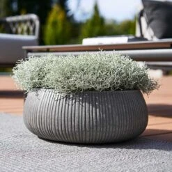 Eileen Plant Bowl - Ridged Dark Grey 10 Eileen Plant Bowl - Ridged Dark Grey -HousePlants Shop Eileen Planter Ridged Dark Grey Outdoor