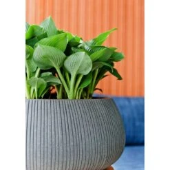 Eileen Plant Bowl - Ridged Dark Grey 11 Eileen Plant Bowl - Ridged Dark Grey -HousePlants Shop Eileen Planter Ridged Dark Grey Texture