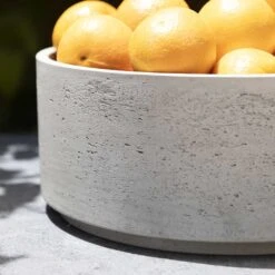 Eli Plant Bowl - Grey Washed -HousePlants Shop Eli Plant Bowl Grey Washed Fruit