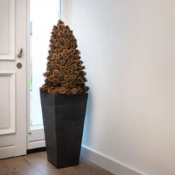 Ella Artstone Tall Planter - Black -HousePlants Shop Ella Artstone Tall Planter Black 1