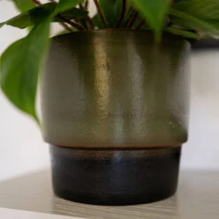Erik Plant Pot - Dark Olive -HousePlants Shop Erik Olive 4