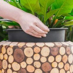 Facets Couple Planter - Ageless 12 Facets Couple Planter - Ageless -HousePlants Shop Facets Couple Planter Ageless 1